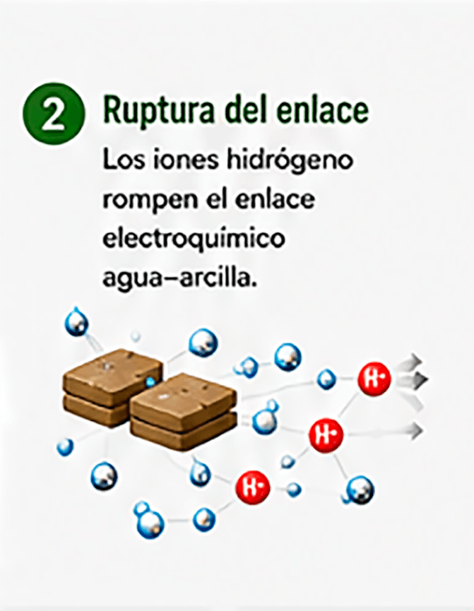 mecanismo de accion 2