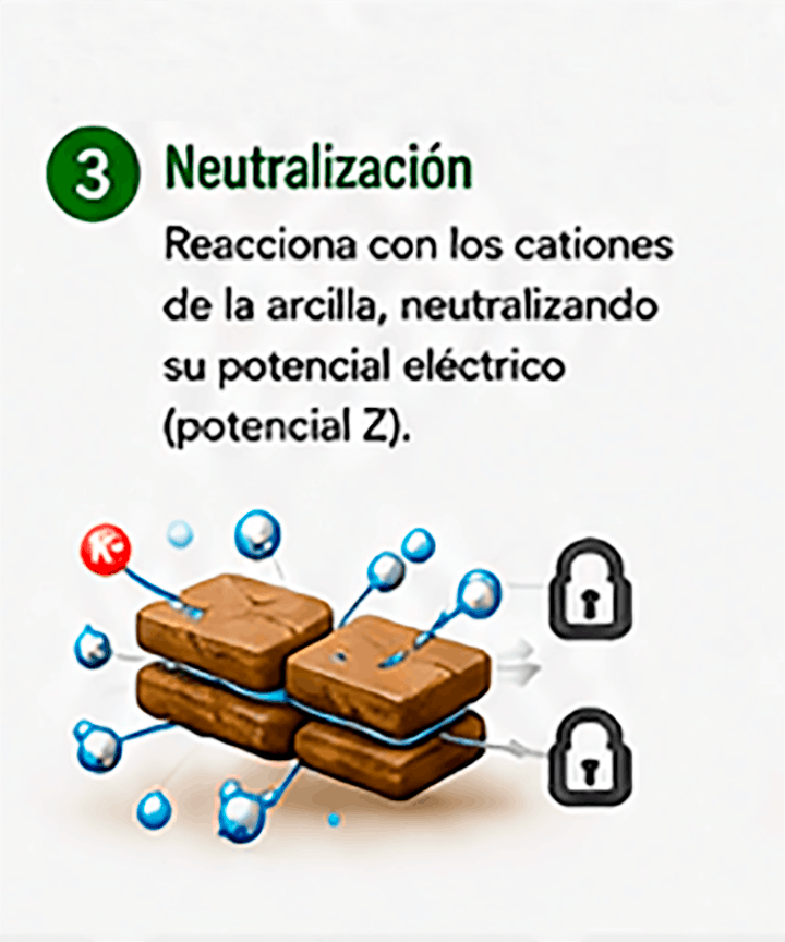 mecanismo de accion 3