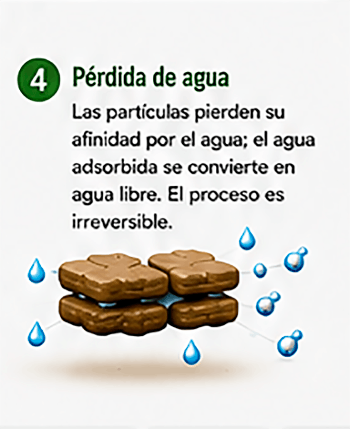 mecanismo de accion 4